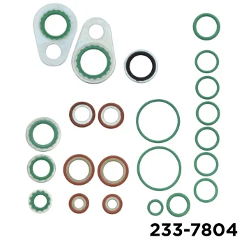 Rapid Seal Oring Kit