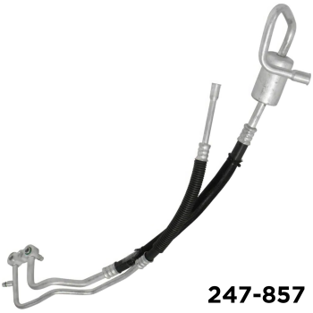 DODG DURANGO MA 00-98