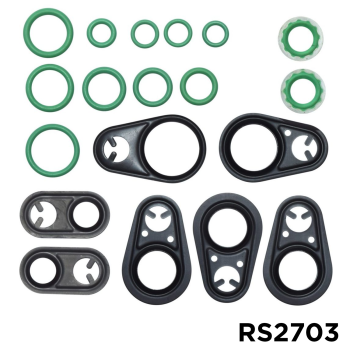Rapid Seal Oring Kit