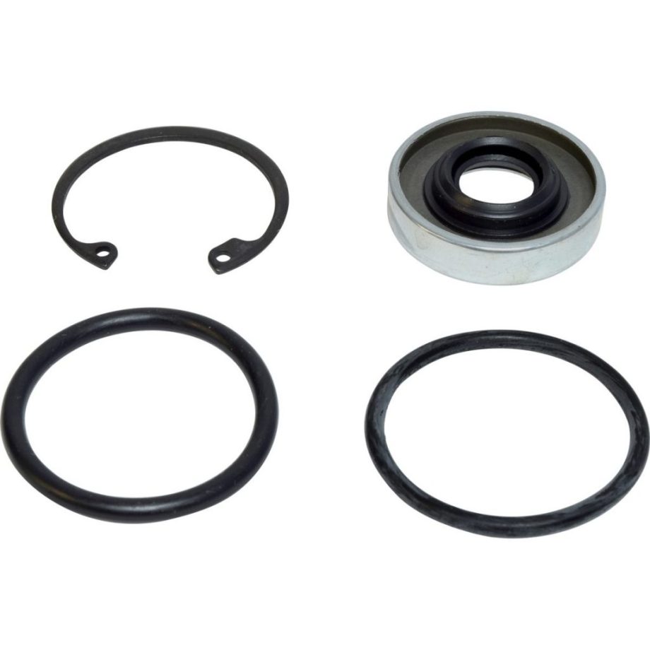 Shaft Seal V5 HR6 DUB LIP SEAL