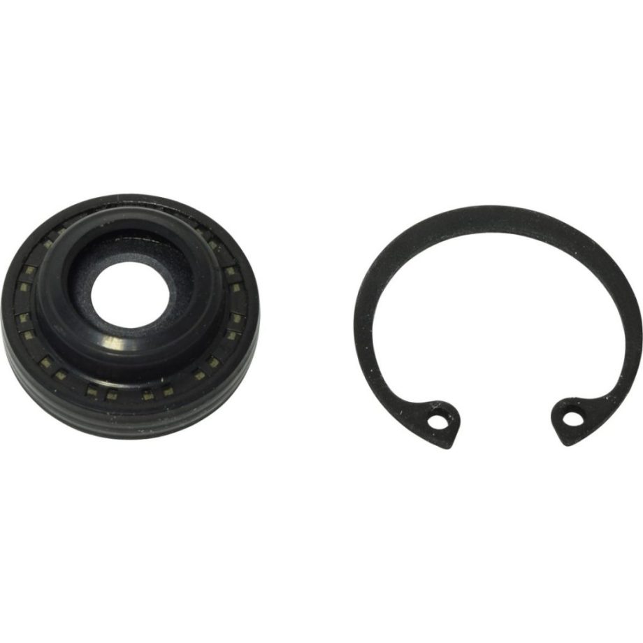 Shaft Seal SS FOR TM31