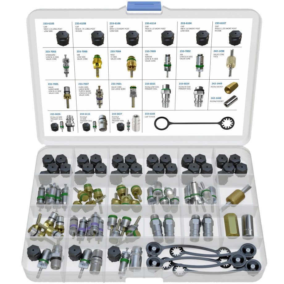 Master Sealing Washer, Gasket, Valve Core /Cap And 1234YF Cap & Core Kit
