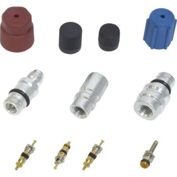 Valve and Cap Kit