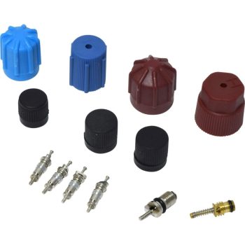 Valve and Cap Kit