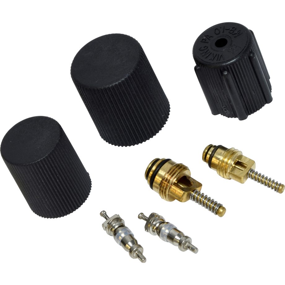 Valve and Cap Kit