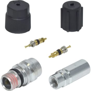 Valve and Cap Kit