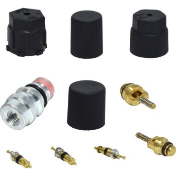 Valve and Cap Kit