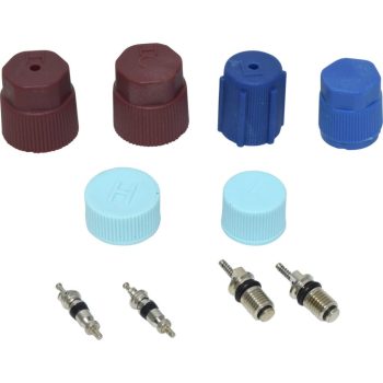 Valve and Cap Kit