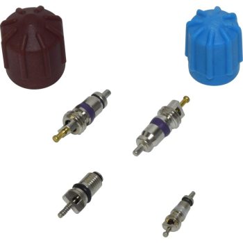 Valve and Cap Kit