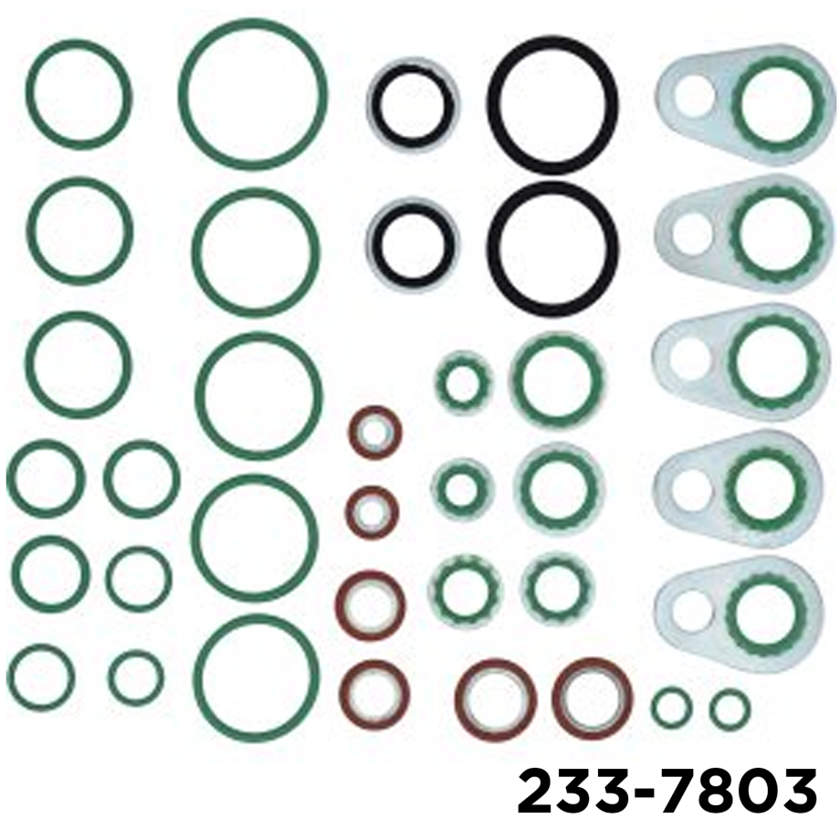 Rapid Seal Oring Kit